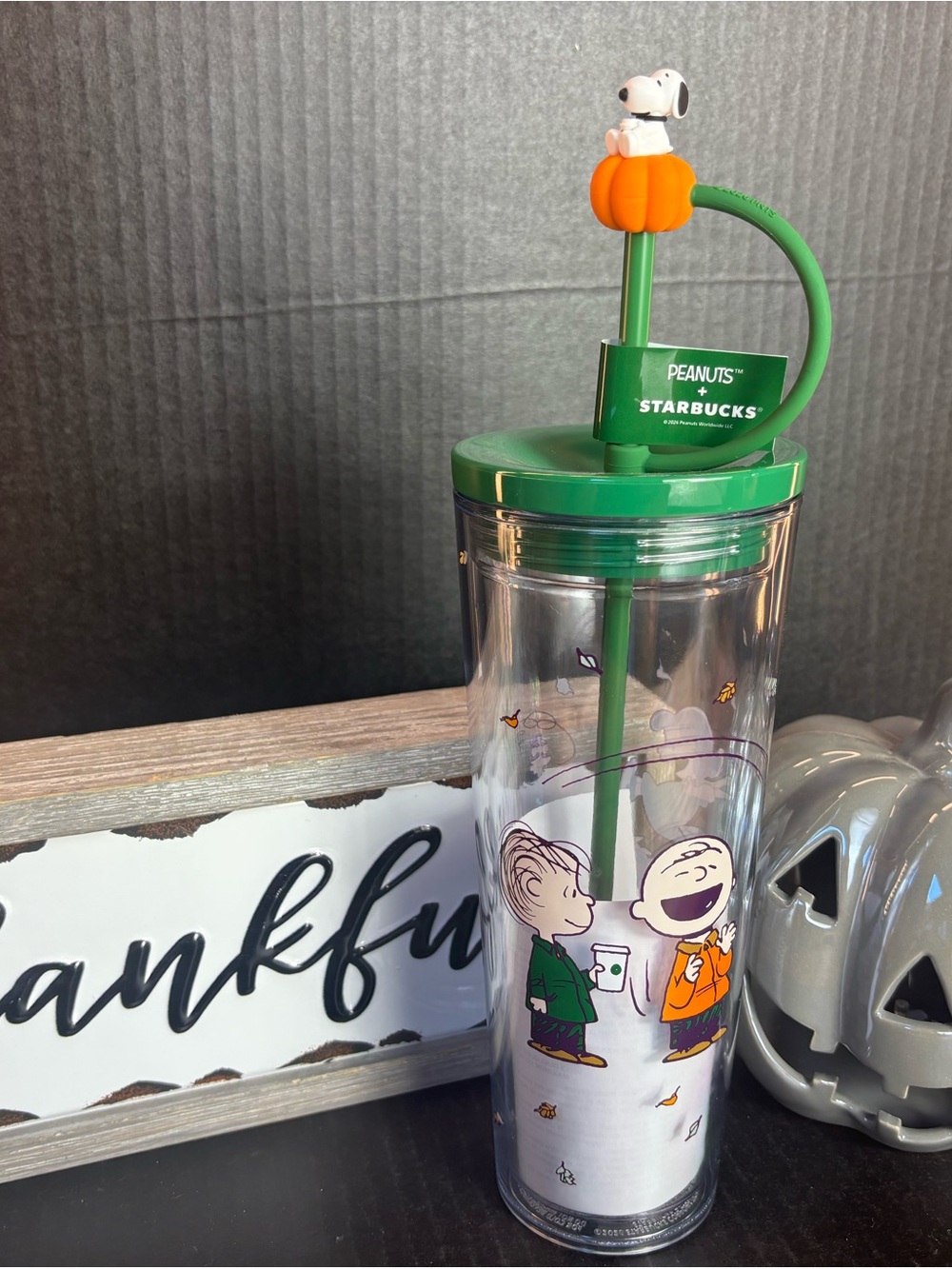 Starbucks x Peanuts Green Snoopy Pumpkin Straw Tumbler
